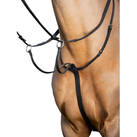 Martingale à anneaux LeMieux Arika