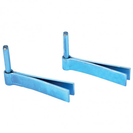 Paire de Gonds à Sceller La Gée