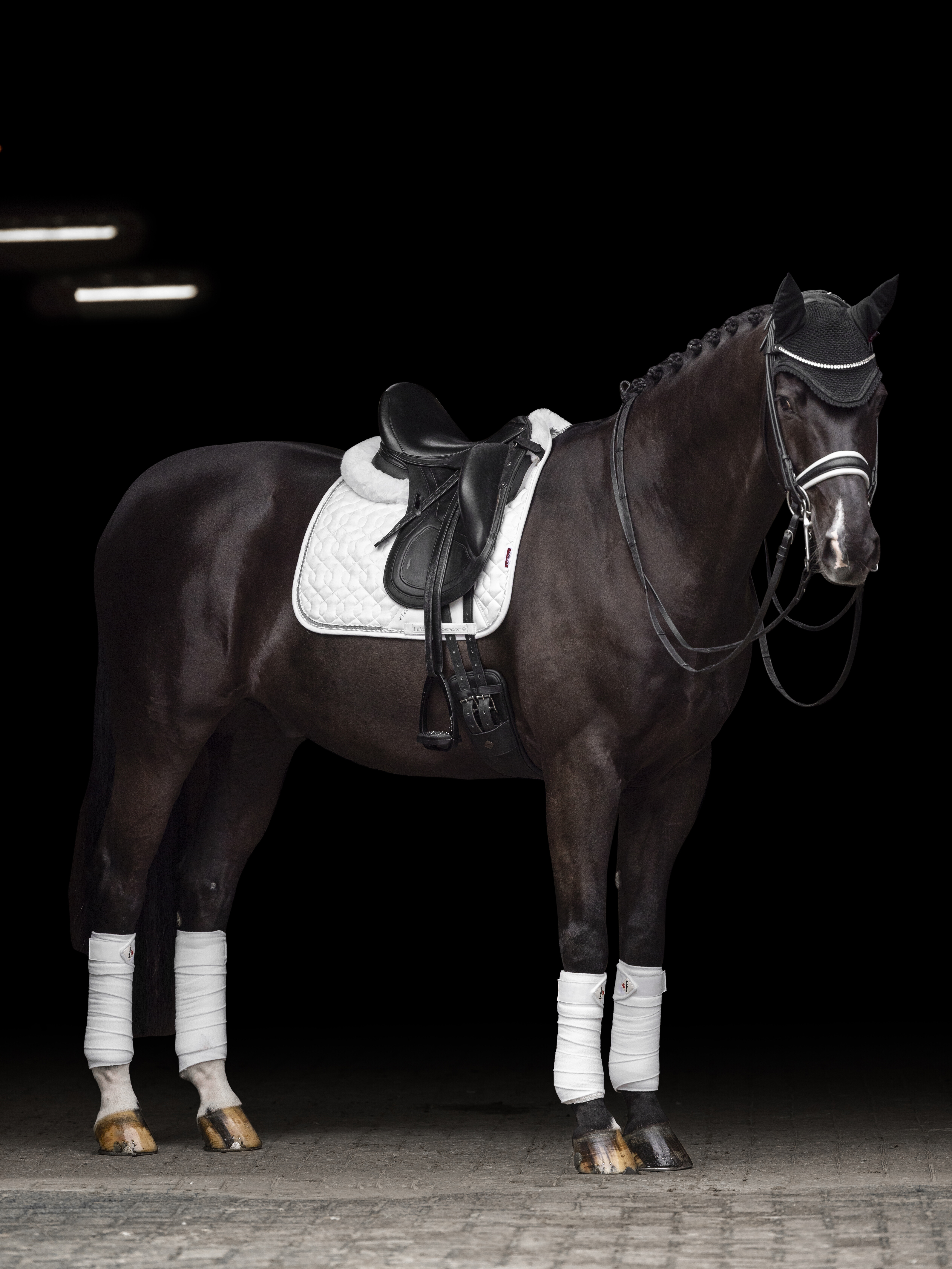 Tapis LeMieux Crystal Suede Dressage Noir Tapis LeMieux Crystal Suede Dressage Noir
