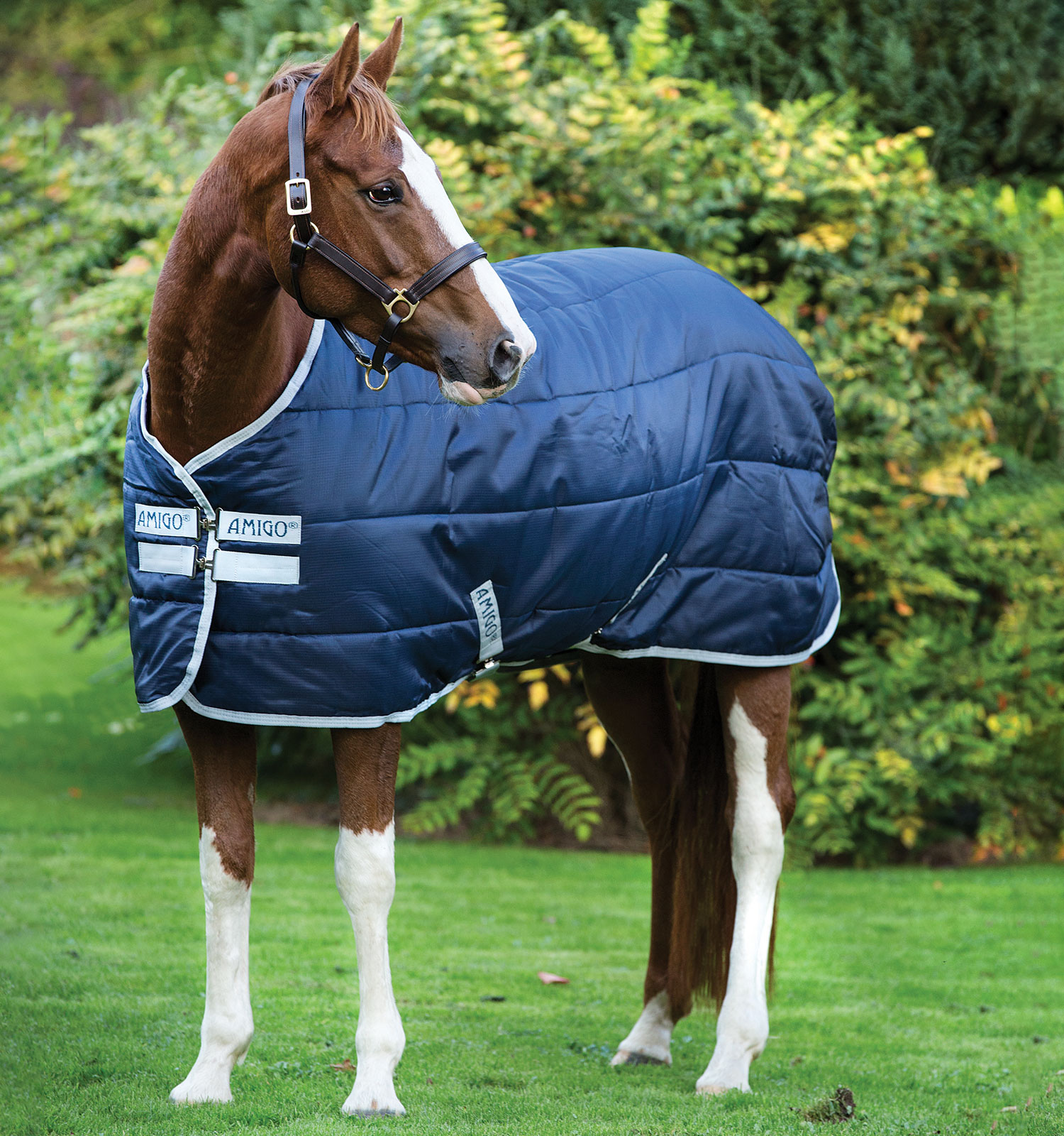 Couverture Horseware Amigo Insulator 200g 210D Marine / argent Bleu Couverture Horseware Amigo Insulator 200g 210D Marine / argent Bleu