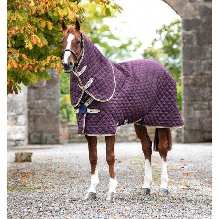 Paardendeken Horseware Amigo Plus Disc 200g