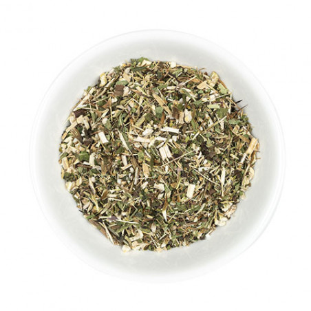 Echinacea hele plant Hilton Herbs