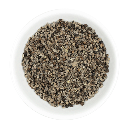 Gattilier vitex agnus castus graines Hilton Herbs