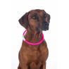 Collier lumineux pour chiens LED HKM - Rose