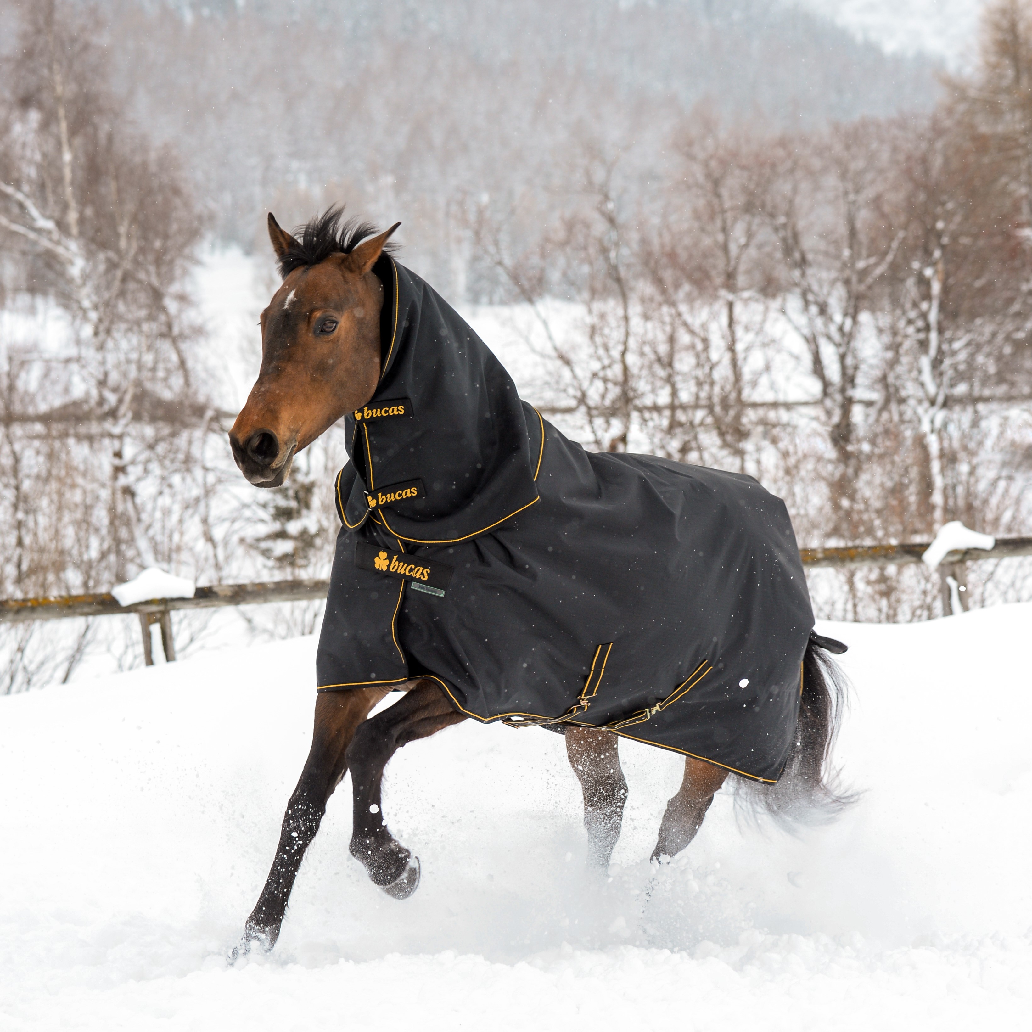 Bucas Irish Turnout Big Neck Light 50g deken Zwart / goud