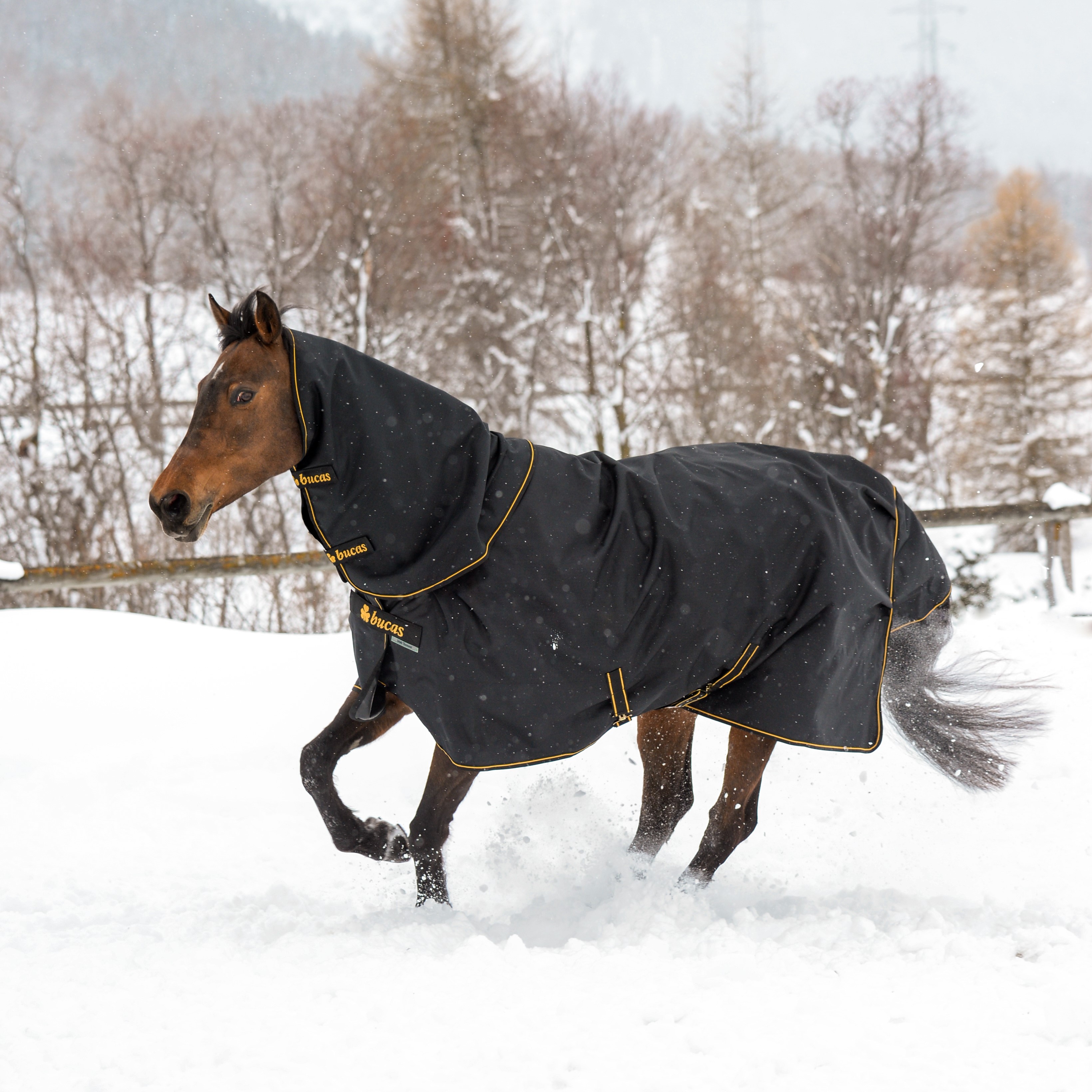 Bucas Irish Turnout Big Neck Light 50g deken Zwart / goud