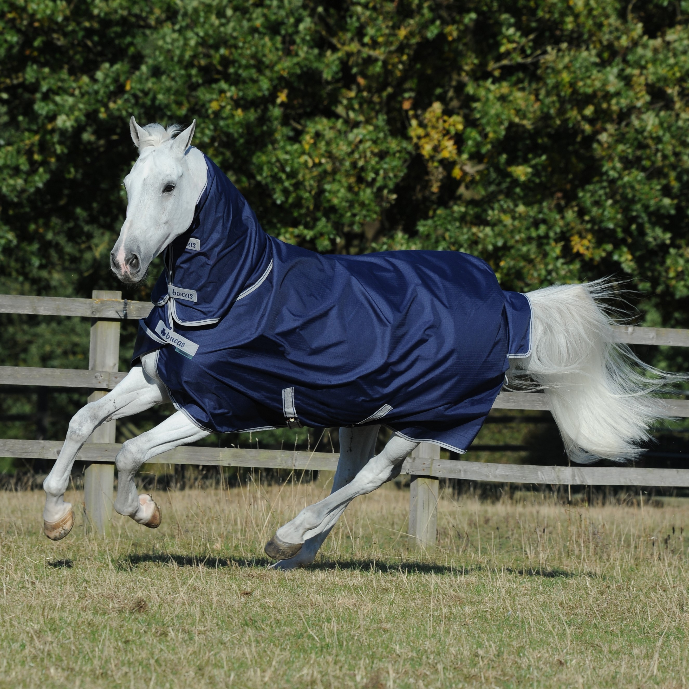 Couverture Bucas Freedom Turnout Full Neck 300g Bleu marine