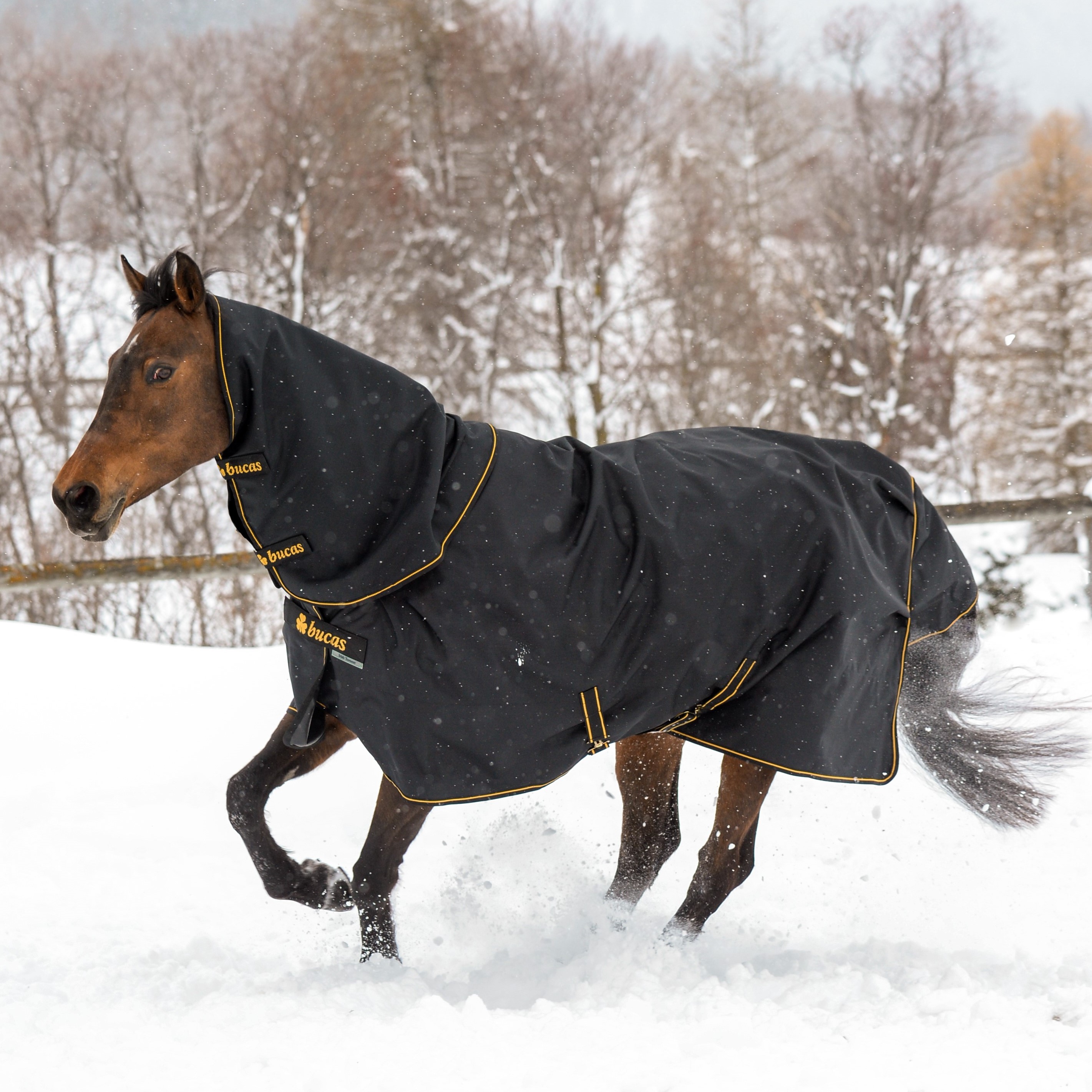 Couvre-cou Bucas Irish Combi Neck Noir / doré