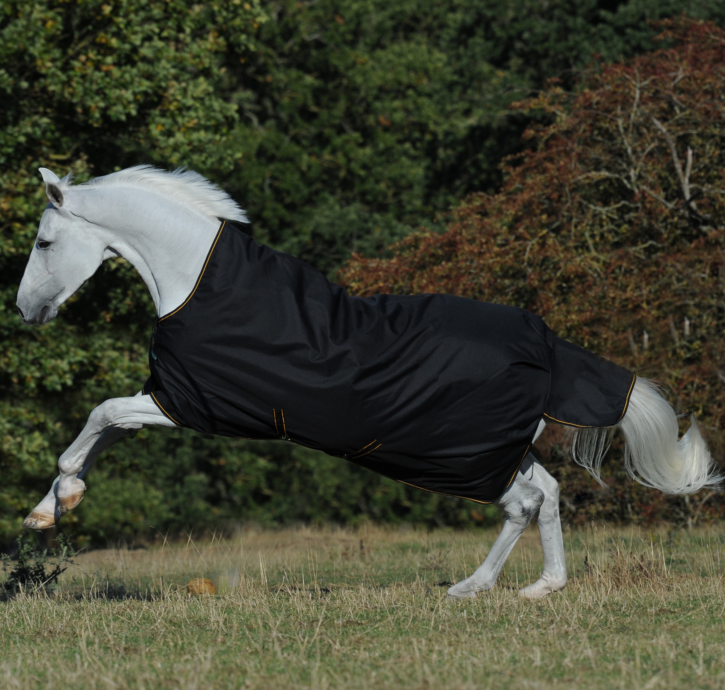 Bucas Irish Turnout High Neck Light 50g deken Marine / goudkleurig Blauw