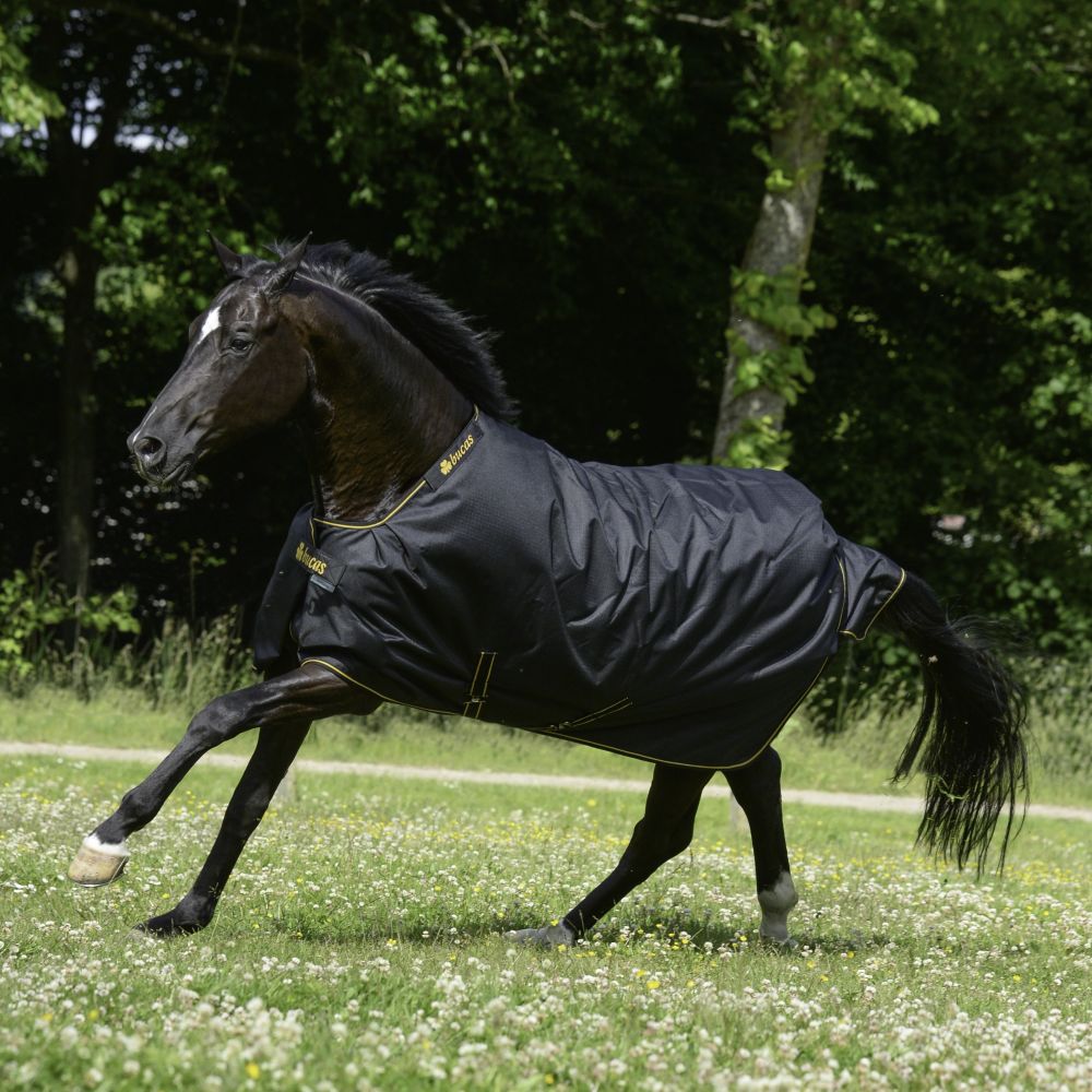 Chemise séchante équitation légère cheval et poney - noir FOUGANZA Chemise séchante équitation légère cheval et poney - noir FOUGANZA