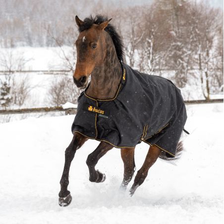 Couverture Bucas Irish Turnout Light 50g avec couvre-cou 1200D