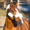 Ensemble de fourreaux de licol Horze - Blanc