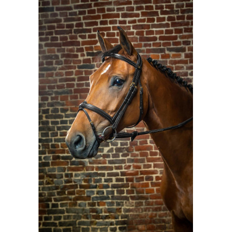 Bridon Combiné Neusriem Dy'on D Collection