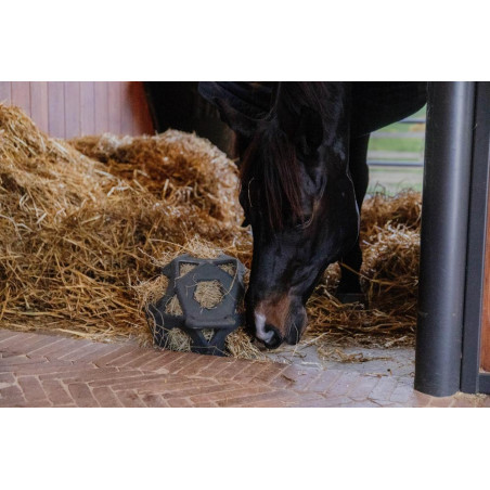 Balle de jeu / balle à foin Kentucky