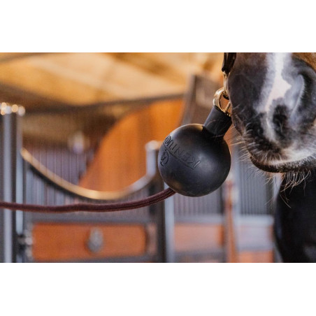 Balle protection d'attache Kentucky