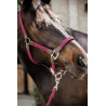 Gevlochten Nylon Halster Kentucky - Bordeaux