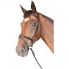 Bridon Cabourg Combiné Privilege Ruitersport - Bruin