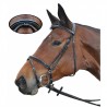 Bridon Nice Combiné Privilege Equitation - Noir