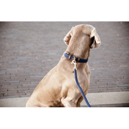 Hondenriem Gevlochten Nylon 120 cm Kentucky