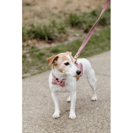 Laisse pour chien Velvet 120 cm Kentucky