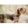 Laisse pour chien Velvet 120 cm Kentucky - Moutarde