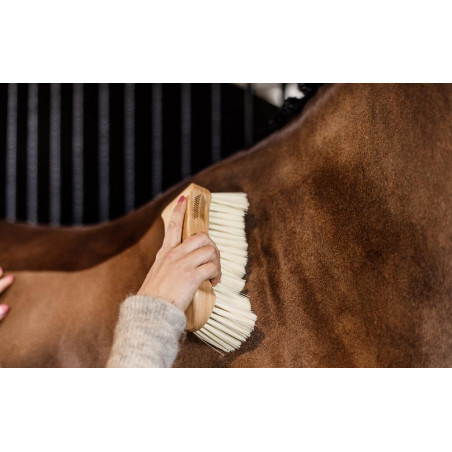 Borstel met zachte haren Kentucky