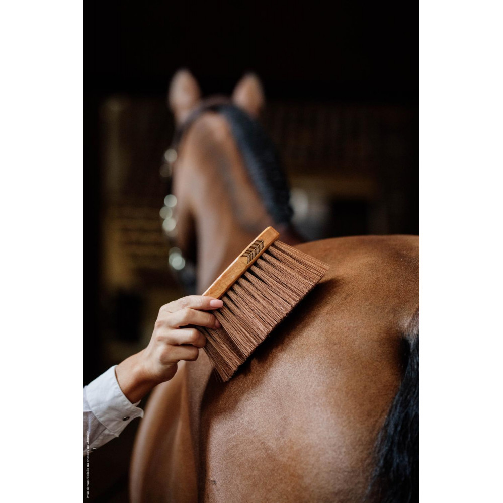 Brosse Dandy – Boutique équestre Centor