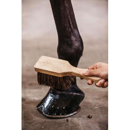 Brosse à sabots Kentucky