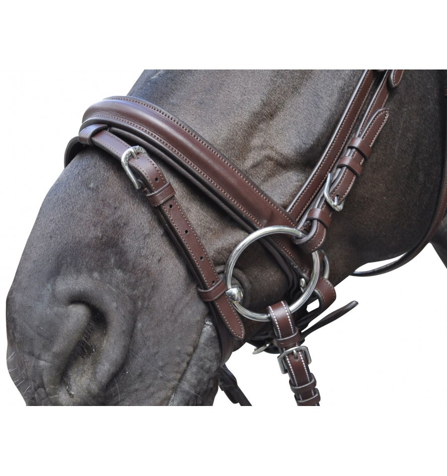 Bridon Hickstead Flags & Cup Bridon Hickstead Flags & Cup