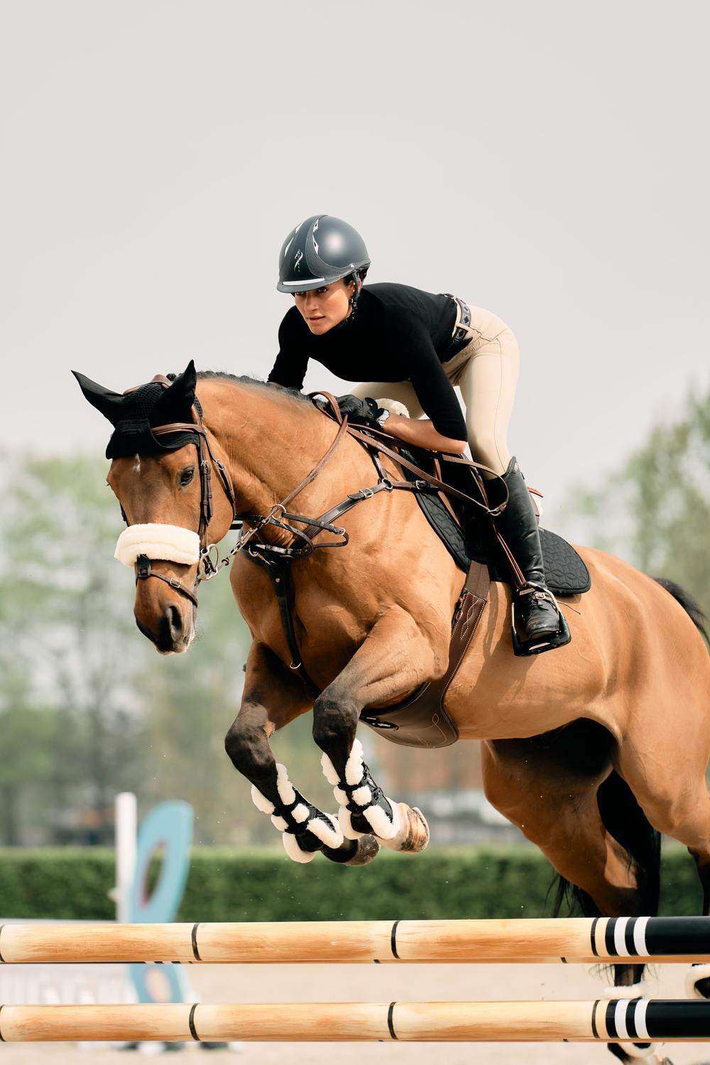 Fourreau de muserolle en mouton Kentucky Noir Fourreau de muserolle en mouton Kentucky Noir