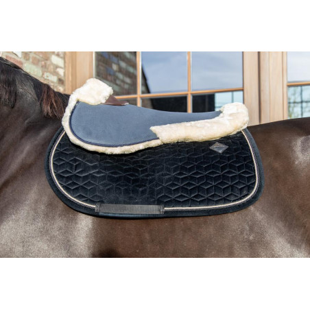 Schokdemper schaap Absorb Kentucky