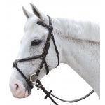 Bridon surpiqué croisé Canter