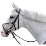 Bridon clencher croisé Canter