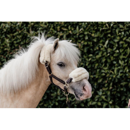 Licol mouton en cuir Kentucky