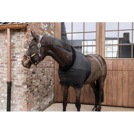 Protège Poitrail Kentucky