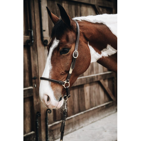 Licol de Pansage en cuir Kentucky