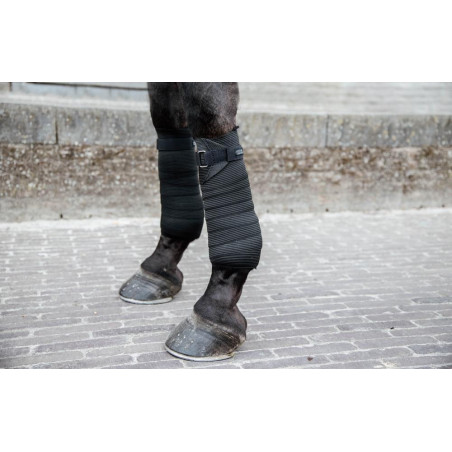 Bande Élastique Noir Kentucky