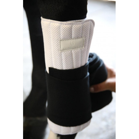 Sous-bandes de travail Absorb Kentucky