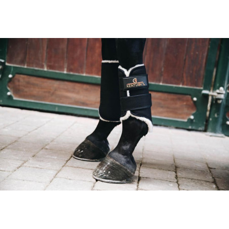 Guêtres fermées Solimbra antérieures Kentucky