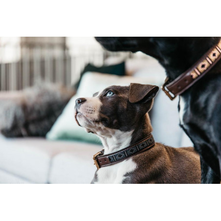 Halsband voor honden van handgemaakte parels Kentucky