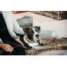 Collier pour chien en Perles faites-main Kentucky - Pure orange