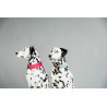 Collier pour chien Jacquard Kentucky - Rose