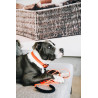 Halsband voor honden Soft Rubber Kentucky - Neon oranje
