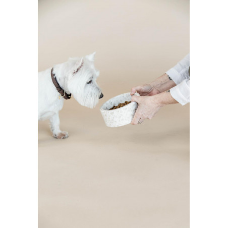 Gamelle pour chien en pierre Terrazzo Kentucky