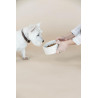 Gamelle pour chien en pierre Terrazzo Kentucky - Beige