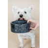 Gamelle pour chien en pierre Terrazzo Kentucky - Noir