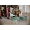 Gamelle pour chien Marbre Kentucky - Vert sapin