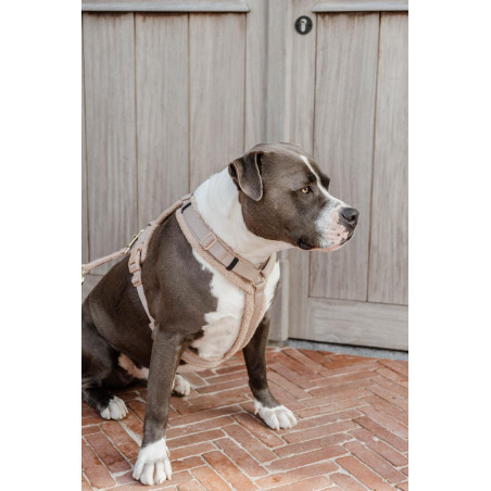 Harnas voor honden Active Teddy Fleece Kentucky