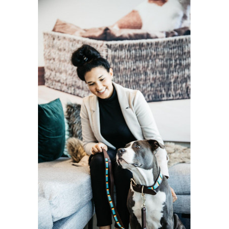 Laisse pour chien en Perles faites-main Kentucky