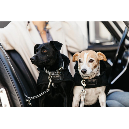 Hondenslaapzak Pied-de-poule Kentucky